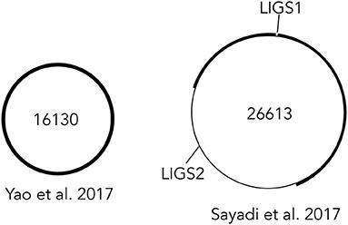 The Evidential Statistics of Genetic Assembly: Bootstrapping a Reference Sequence